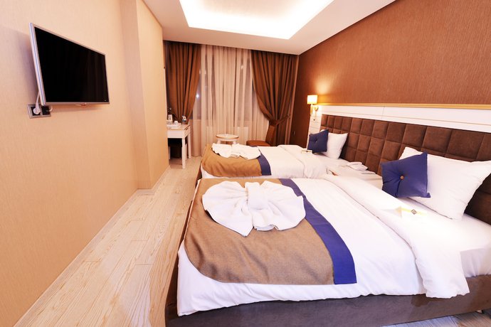 Imagen de la habitación del Hotel Atlihan Park. Foto 8