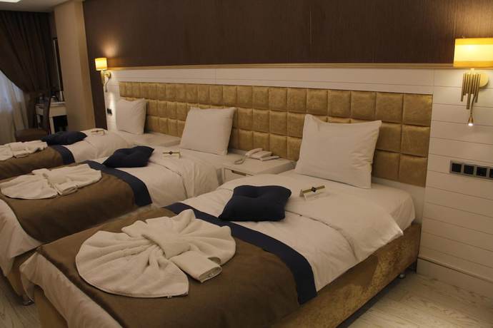 Imagen de la habitación del Hotel Atlihan Park. Foto 9