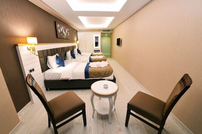 Imagen de la habitación del Hotel Atlihan Park. Foto 12