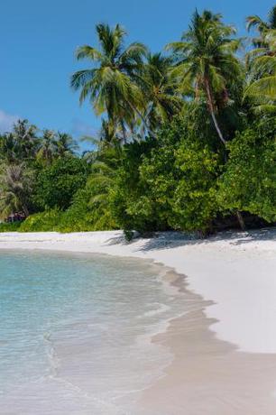 Imagen general del Hotel Atoll Retreat. Foto 12