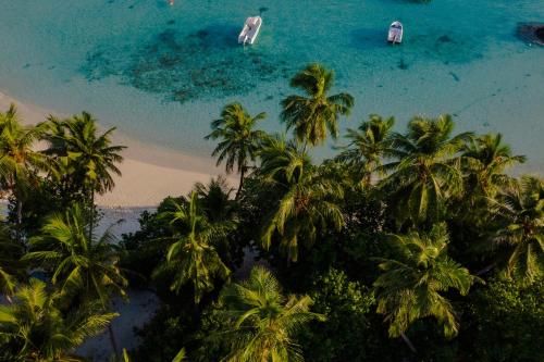 Imagen general del Hotel Atoll Retreat. Foto 13