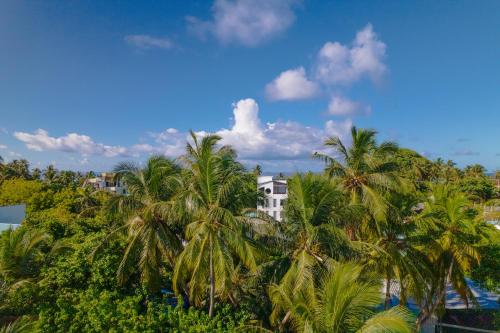 Imagen general del Hotel Atoll Retreat. Foto 17