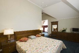 Imagen de la habitación del Hotel Aton, Krasnodar. Foto 8