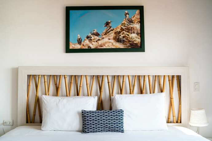 Imagen general del Hotel Atoq Paracas Reserva. Foto 2