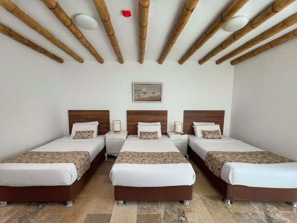 Imagen de la habitación del Hotel Atoq Paracas Reserva. Foto 15