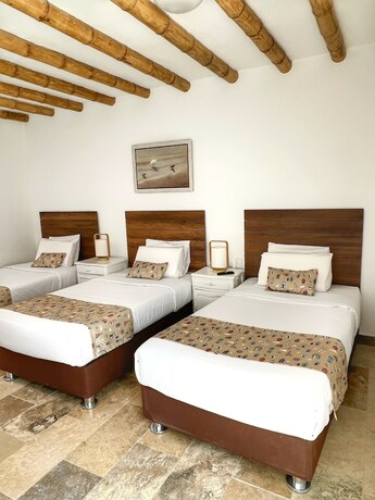 Imagen de la habitación del Hotel Atoq Paracas Reserva. Foto 19