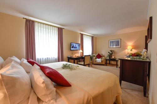 Imagen de la habitación del Hotel Atrium Amadeus. Foto 7