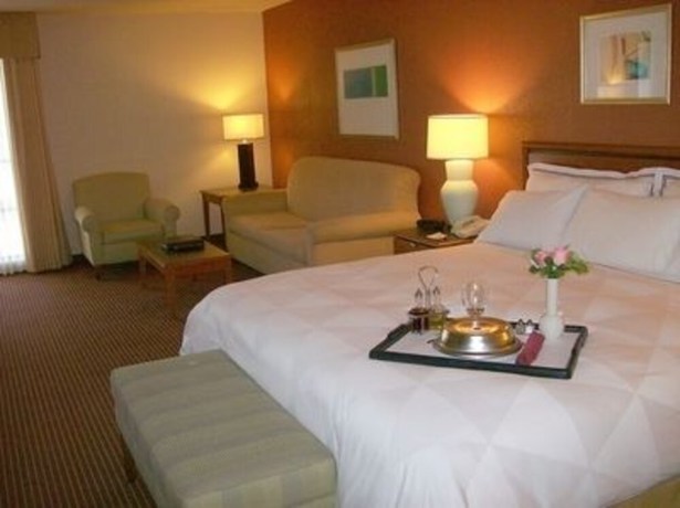 Imagen de la habitación del Hotel Atrium And Suites Dfw Airport South. Foto 5