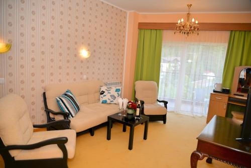 Imagen general del Hotel Atrium Mountain View Predeal. Foto 4