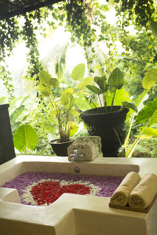 Imagen de los exteriores del Hotel Atta Mesari Ubud. Foto 15