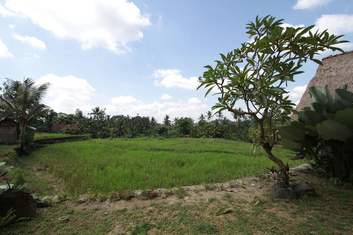 Imagen del bar/restaurante del Hotel Atta Mesari Ubud. Foto 5