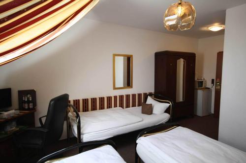 Imagen de la habitación del Hotel Attaché Frankfurt Airport Raunheim. Foto 7