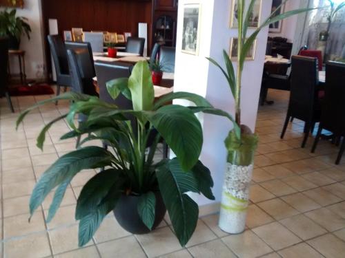 Imagen general del Hotel Attaché Frankfurt Airport Raunheim. Foto 3