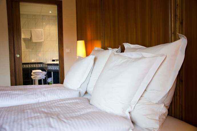 Imagen general del Hotel Au Chasseur. Foto 4