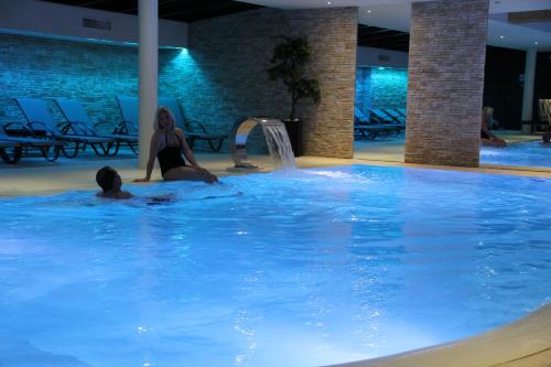 Imagen de la piscina del Hotel Au Nid De Cigognes. Foto 9