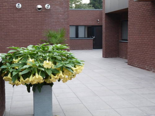 Imagen de la habitación del Hotel Au Prince Royal. Foto 7