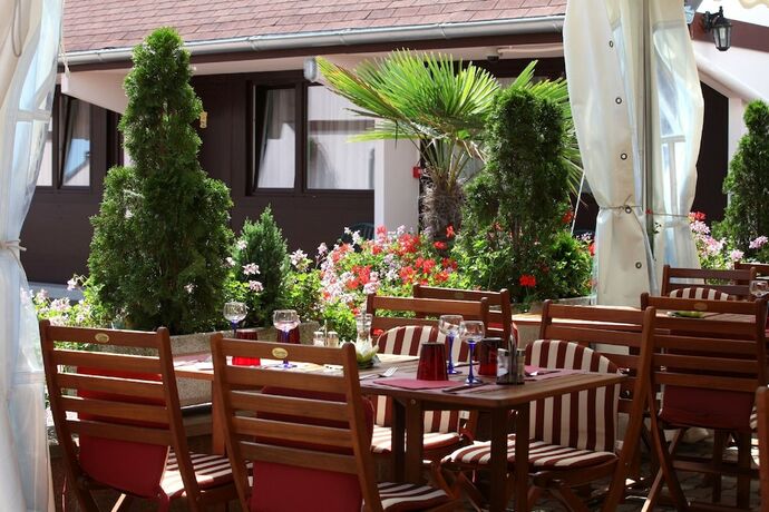 Imagen general del Hotel Au Relais D\'Alsace. Foto 7