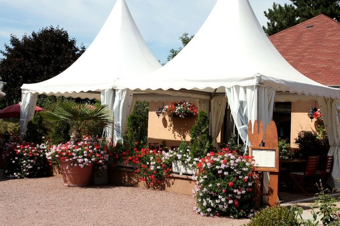 Imagen general del Hotel Au Relais D\'Alsace. Foto 10