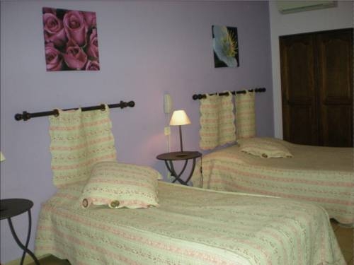 Imagen general del Hotel Au St Roch Et Jardin. Foto 6