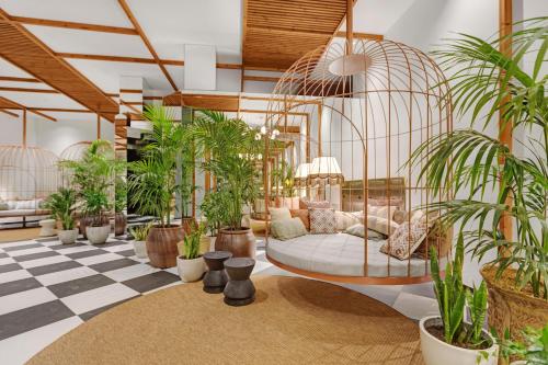 Imagen de los interiores del Hotel Aubamar Suites and Spa. Foto 16