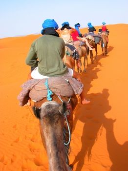 Imagen general del Hotel Auberge Africa. Foto 6