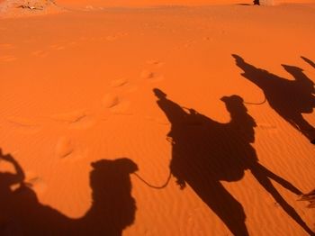 Imagen general del Hotel Auberge Africa. Foto 7