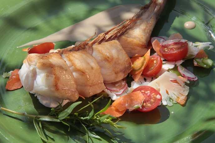 Imagen del bar/restaurante del Hotel Auberge De Noves. Foto 5