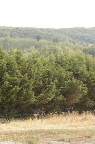 Imagen de la habitación del Hotel Auberge Du Balestié. Foto 4