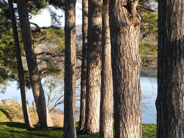 Imagen de los exteriores del Hotel Auberge Du Poids Public. Foto 7