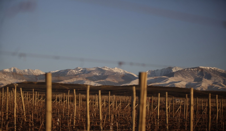 Imagen de los exteriores del Hotel Auberge Du Vin, A Tribute Portfolio , Tupungato. Foto 10
