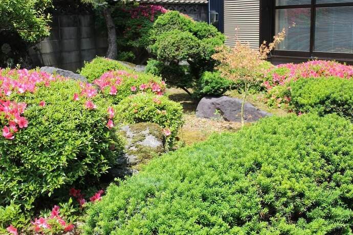 Imagen general del Hotel Auberge Fujii Fermier. Foto 9