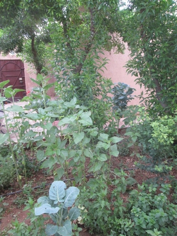 Imagen de los interiores del Hotel Auberge Toda. Foto 14