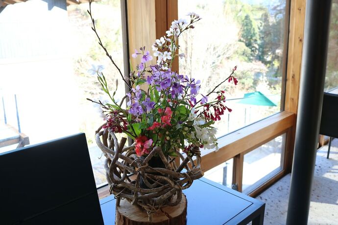 Imagen general del Hotel Auberge Tosayama. Foto 2