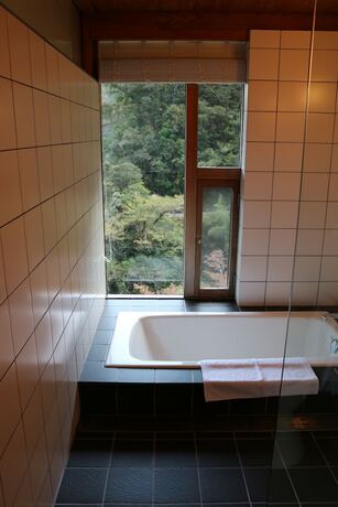 Imagen general del Hotel Auberge Tosayama. Foto 14