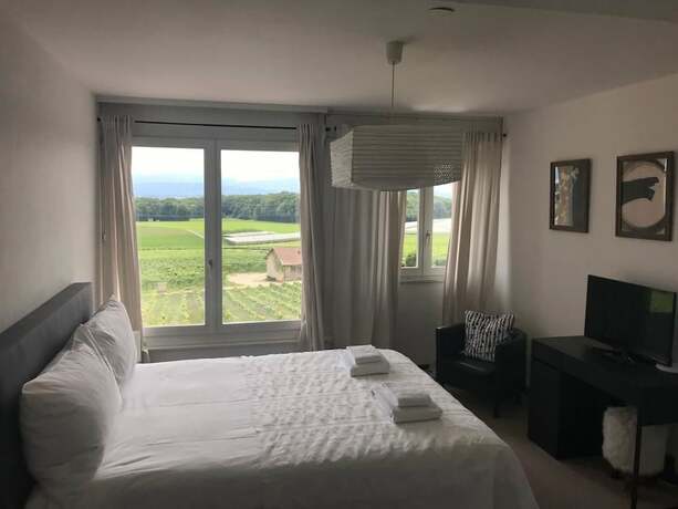 Imagen de la habitación del Hotel Auberge de Duillier. Foto 20