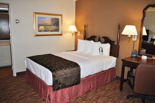 Imagen de la habitación del Hotel Auburn Place and Suites. Foto 4