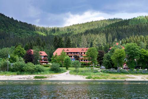 Imagen de la habitación del Hotel Auerhahn, Schluchsee. Foto 2