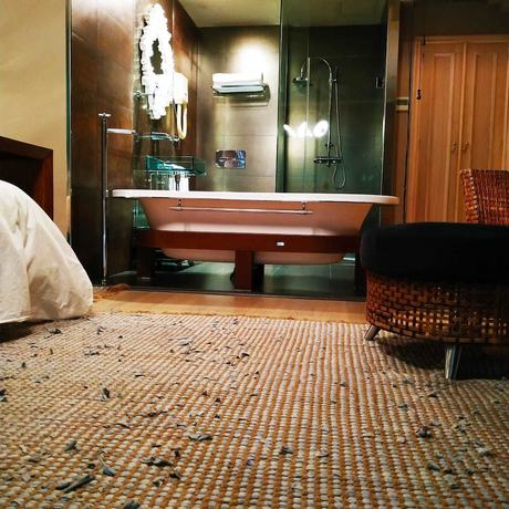 Imagen de la habitación del Hotel Augadoce. Foto 16