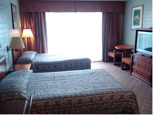 Imagen de la habitación del Hotel August Jack Motor Inn. Foto 16
