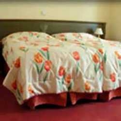 Imagen general del Hotel Augustus et Otto. Foto 9