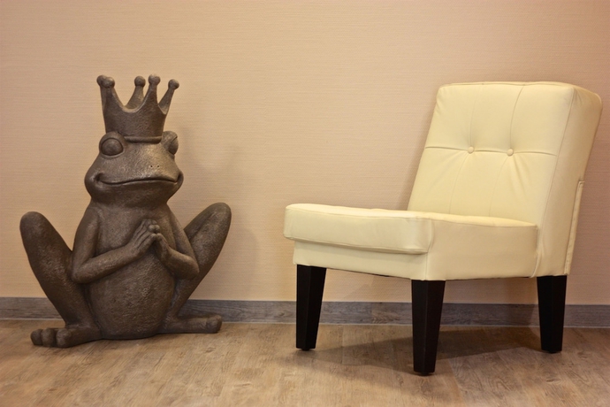 Imagen de los interiores del Hotel Aulmann. Foto 10
