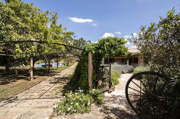 Imagen general del Hotel Aumallia and Spa. Foto 9