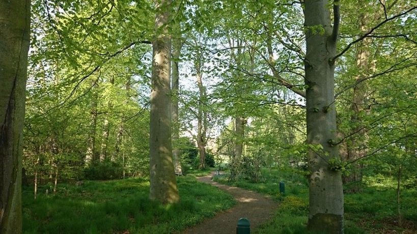 Imagen de la habitación del Hotel Ängavallen. Foto 3