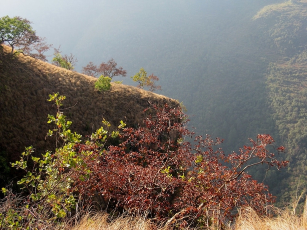 Imagen de los exteriores del Hotel Auranya The Mystical Himalayan Retreat. Foto 13