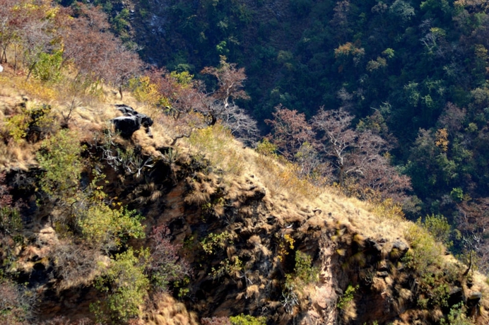 Imagen de los exteriores del Hotel Auranya The Mystical Himalayan Retreat. Foto 14