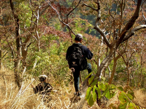 Imagen de los exteriores del Hotel Auranya The Mystical Himalayan Retreat. Foto 15
