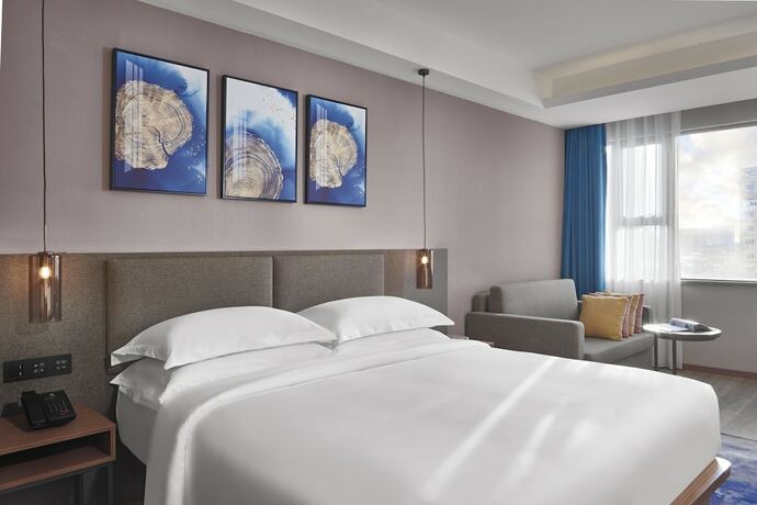 Imagen de la habitación del Hotel Aurea Central. Foto 18