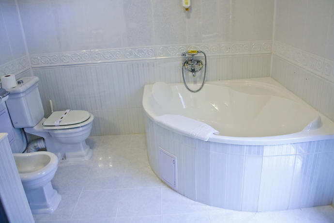 Imagen de la habitación del Hotel Aurelius Imparatul Romanilor. Foto 3