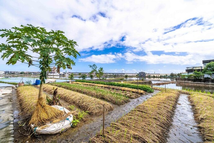 Imagen de los exteriores del Hotel Aurora Castle. Foto 37