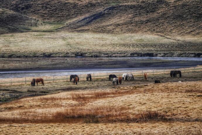 Imagen de los exteriores del Hotel Aurora Lodge. Foto 35